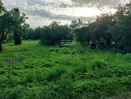 Land Klaipėdos rajono sav., Dercekliuose