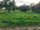 Land for sale Klaipėdos rajono sav., Dercekliuose (3 picture)