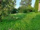 Land for sale Klaipėdos rajono sav., Dercekliuose (4 picture)