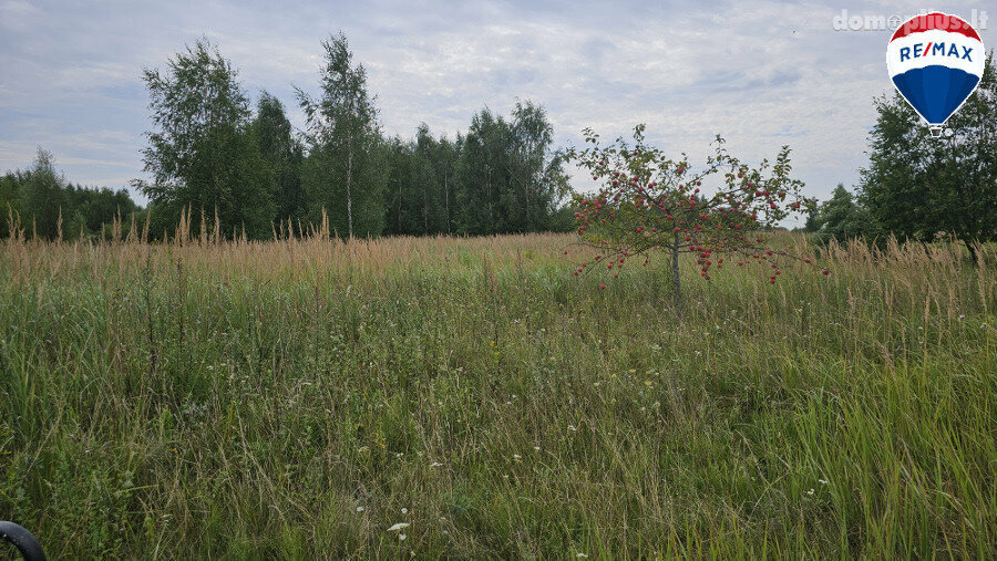 Parduodamas sklypas Panevėžyje, Molainiuose, Linų g.