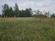 Parduodamas sklypas Panevėžyje, Molainiuose, Linų g. (1 nuotrauka)