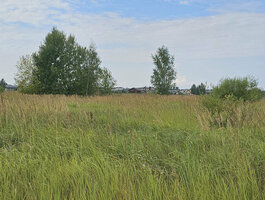 Parduodamas sklypas Panevėžyje, Molainiuose, Linų g.