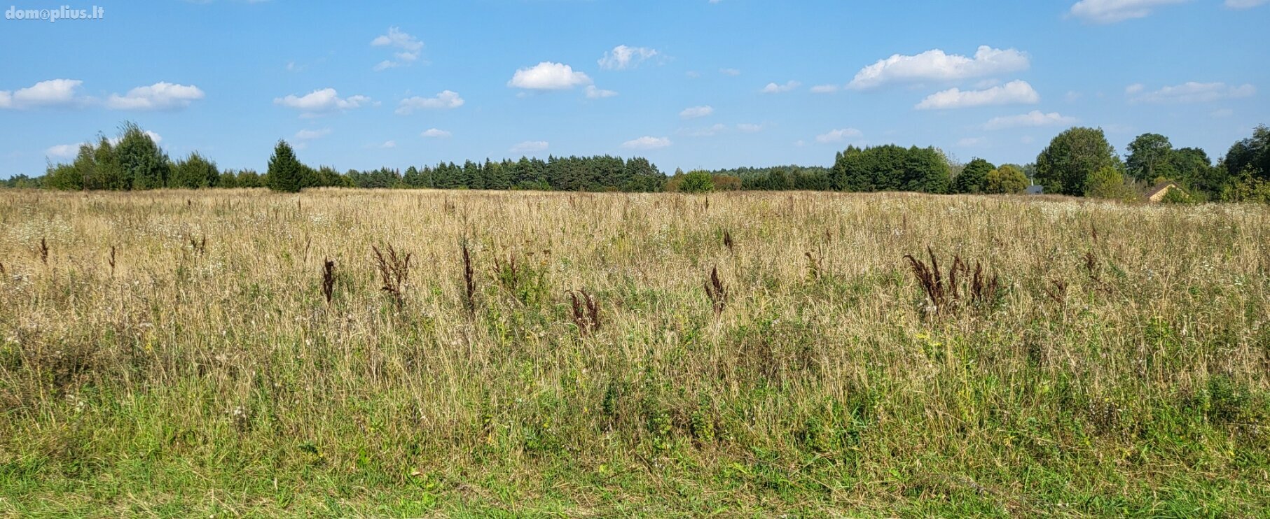 Land for sale Vilniaus rajono sav., Rakonyse, Piligrimų g.