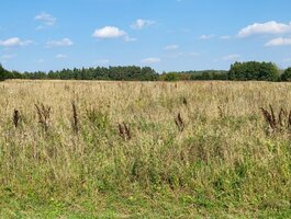 Land for sale Vilniaus rajono sav., Rakonyse, Piligrimų g.