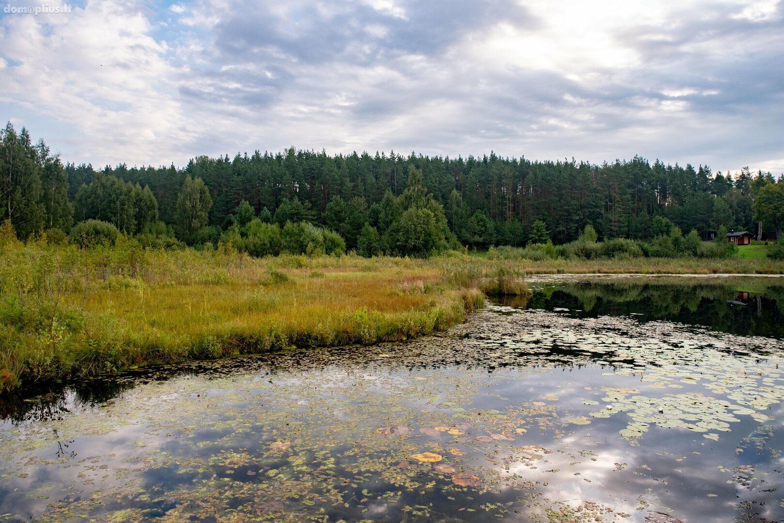Parduodamas sklypas Vilniaus rajono sav., Paežeriuose