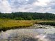 Parduodamas sklypas Vilniaus rajono sav., Paežeriuose (15 nuotrauka)
