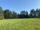 Parduodamas sklypas Druskininkų sav., Naujasodėje (2 nuotrauka)