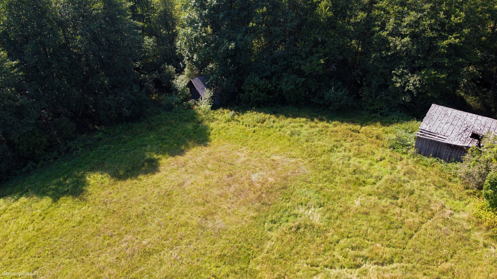 Land for sale Švenčionių rajono sav., Padumblėje, Dumblės g.