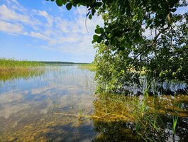Parduodamas sklypas Zarasų rajono sav., Marceliškyje