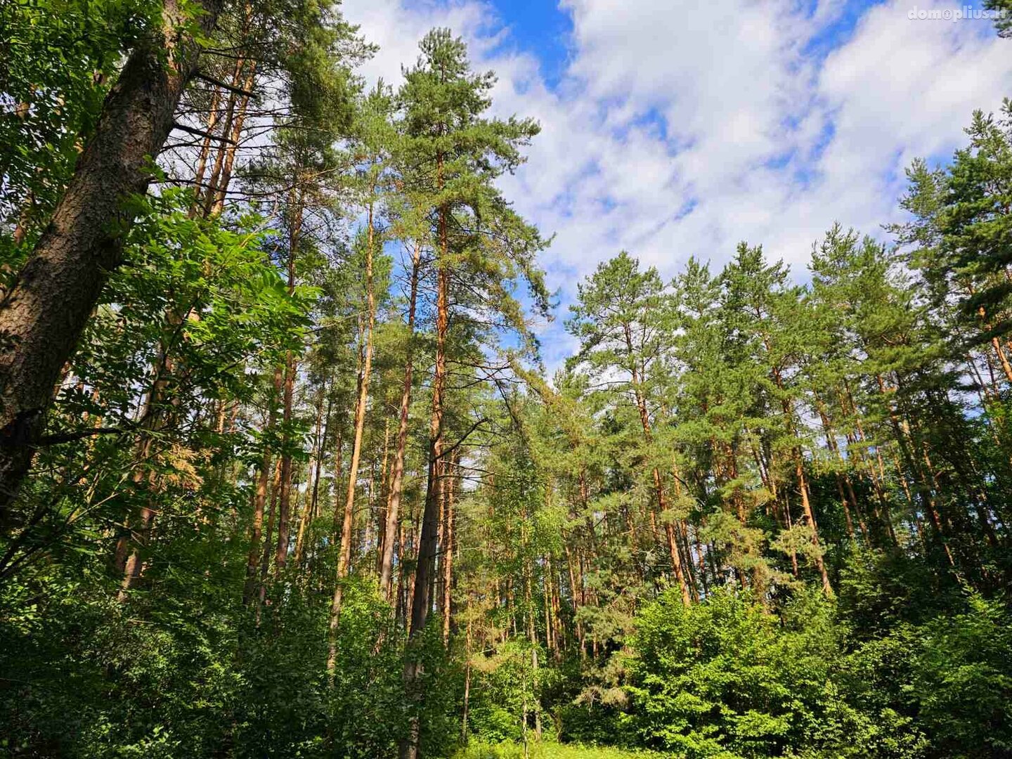 Parduodamas sklypas Zarasų rajono sav., Marceliškyje