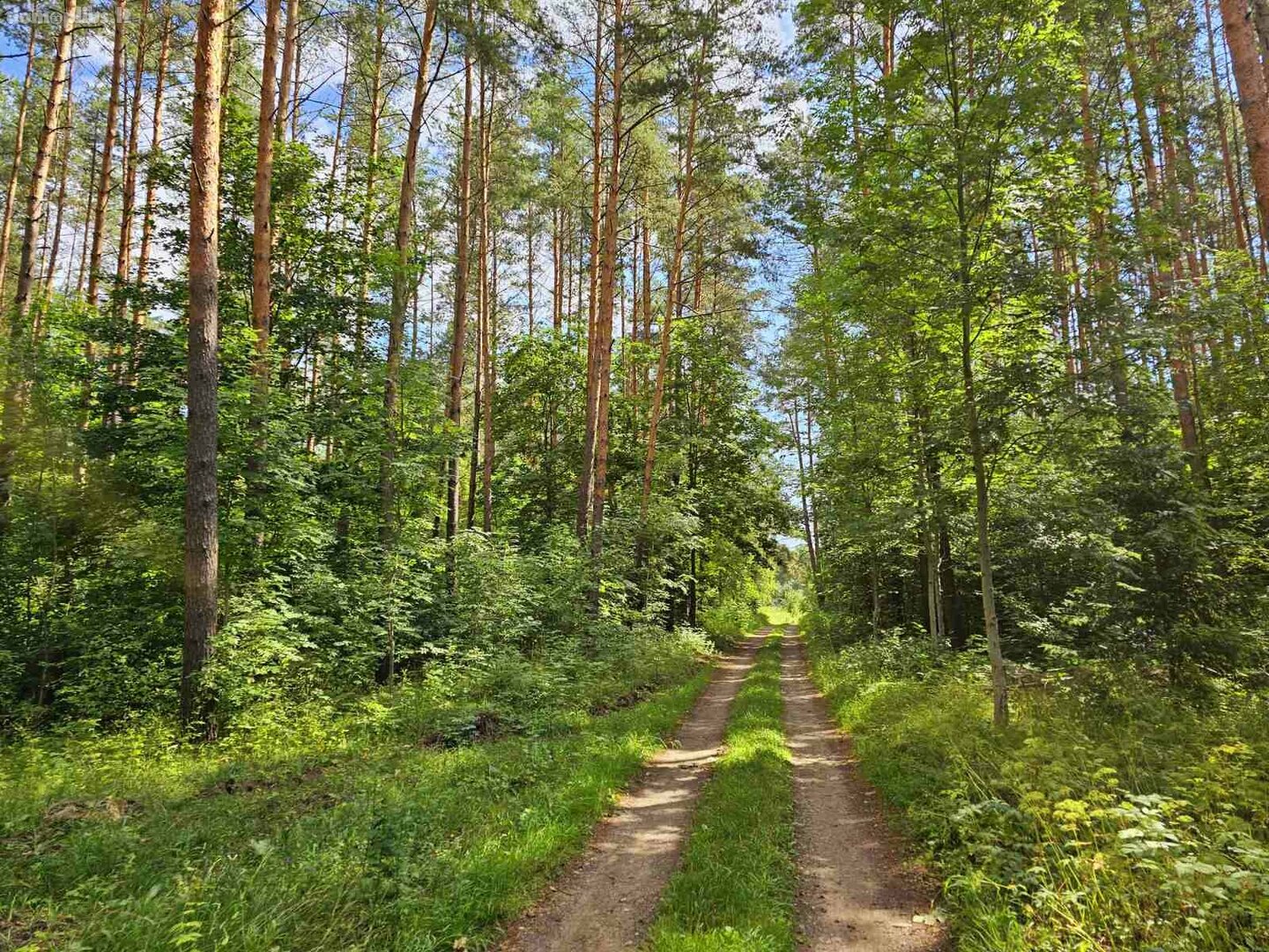 Parduodamas sklypas Zarasų rajono sav., Marceliškyje