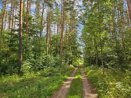 Parduodamas sklypas Zarasų rajono sav., Marceliškyje
