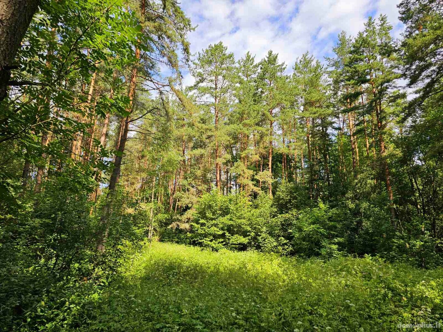 Parduodamas sklypas Zarasų rajono sav., Marceliškyje