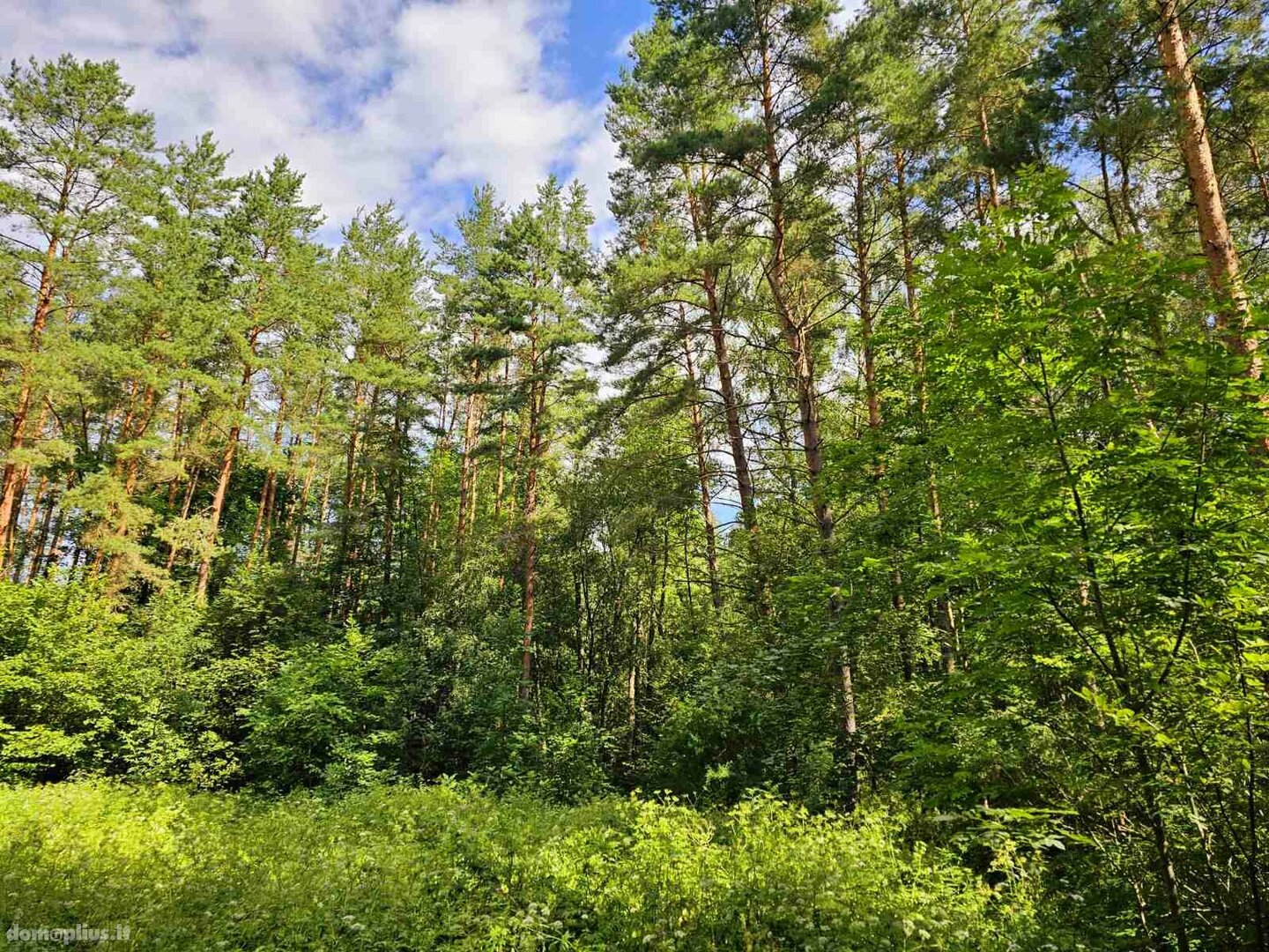 Parduodamas sklypas Zarasų rajono sav., Marceliškyje