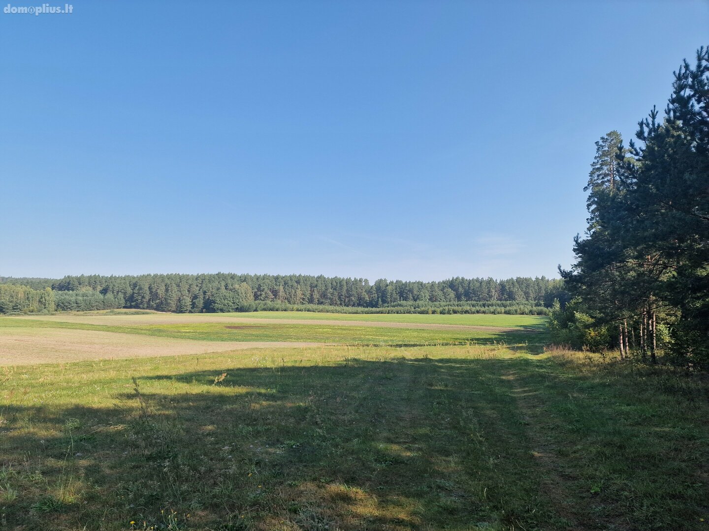 Parduodamas sklypas Alytaus rajono sav., Jociūnuose