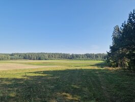 Parduodamas sklypas Alytaus rajono sav., Jociūnuose