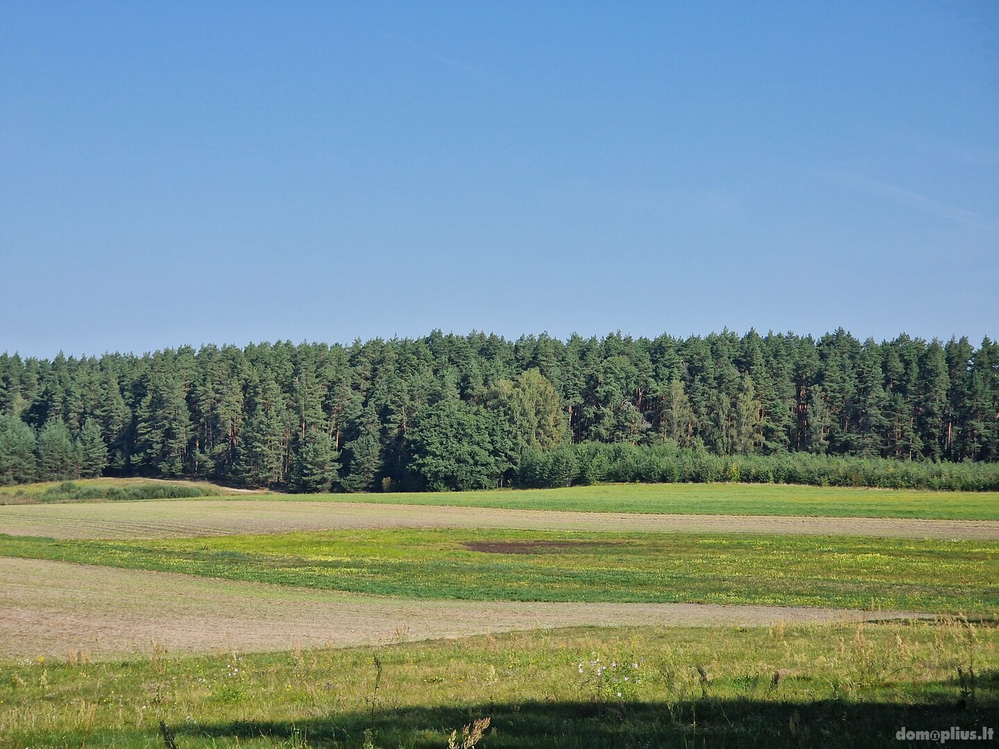 Parduodamas sklypas Alytaus rajono sav., Jociūnuose
