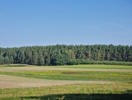 Parduodamas sklypas Alytaus rajono sav., Jociūnuose