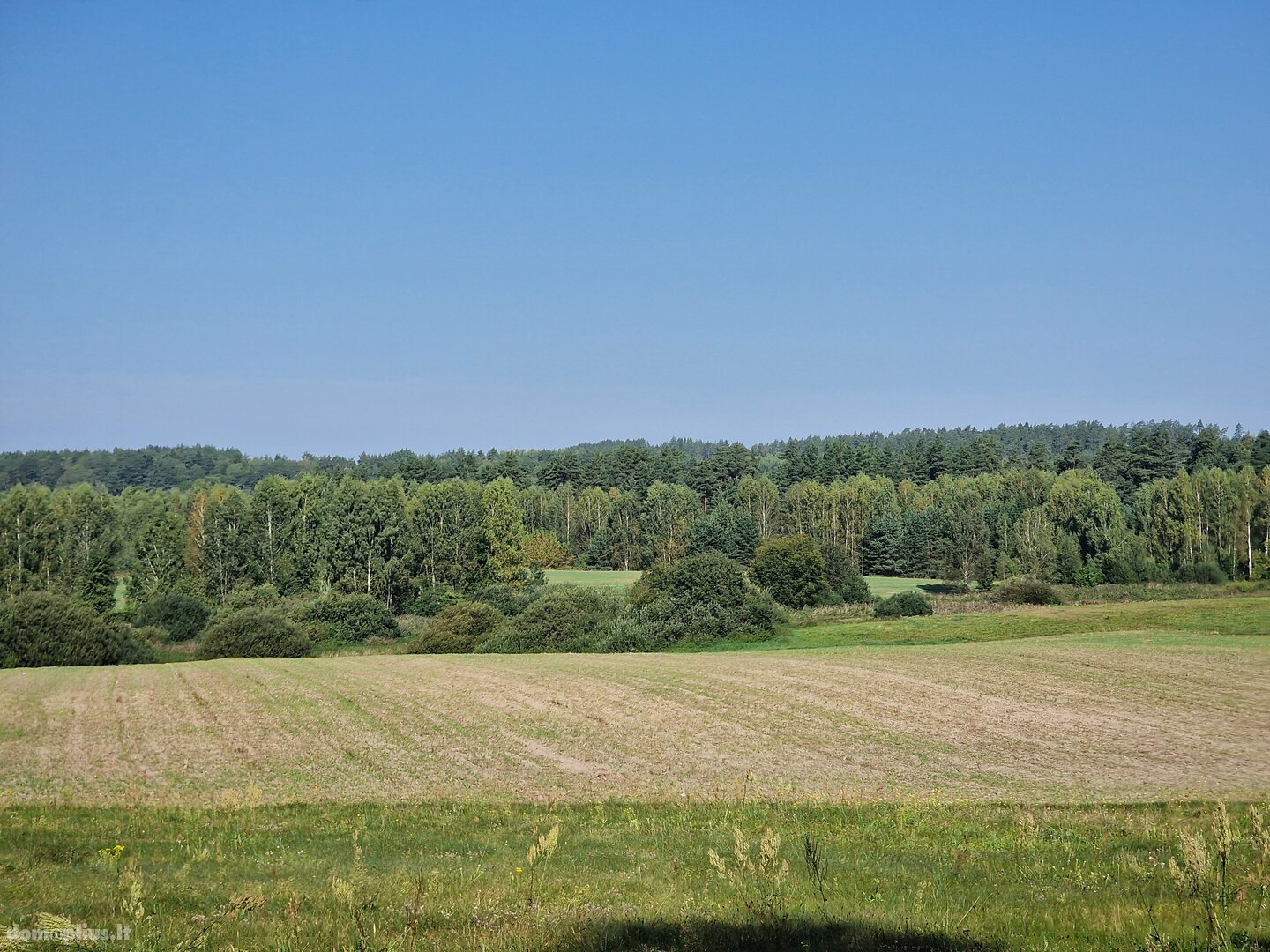 Parduodamas sklypas Alytaus rajono sav., Jociūnuose