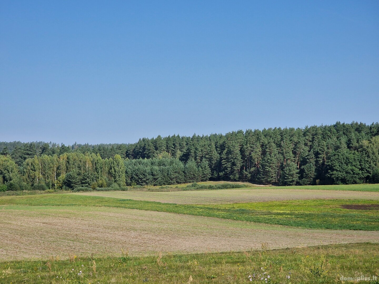 Parduodamas sklypas Alytaus rajono sav., Jociūnuose