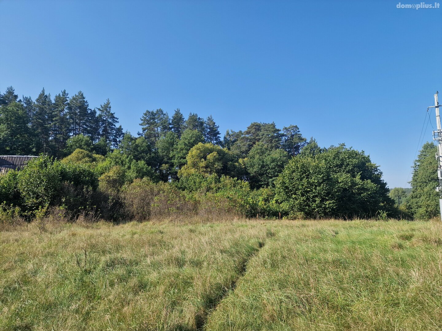 Parduodamas sklypas Alytaus rajono sav., Jociūnuose