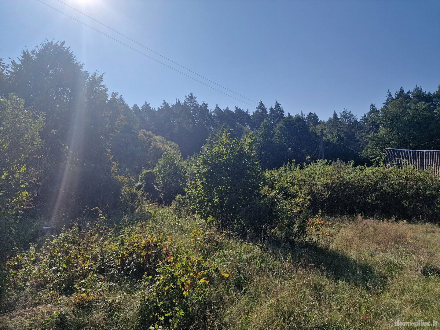 Parduodamas sklypas Alytaus rajono sav., Jociūnuose