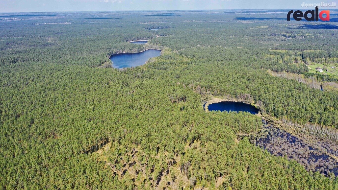 Участок Vilniaus rajono sav., Šeškučiuose