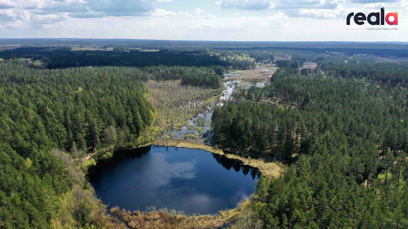 Участок Vilniaus rajono sav., Šeškučiuose