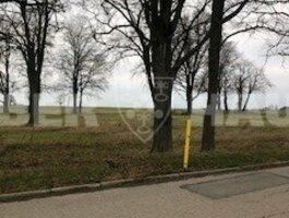 Parduodamas sklypas Panevėžio rajono sav., Pažagieniuose, Šilagalio g.