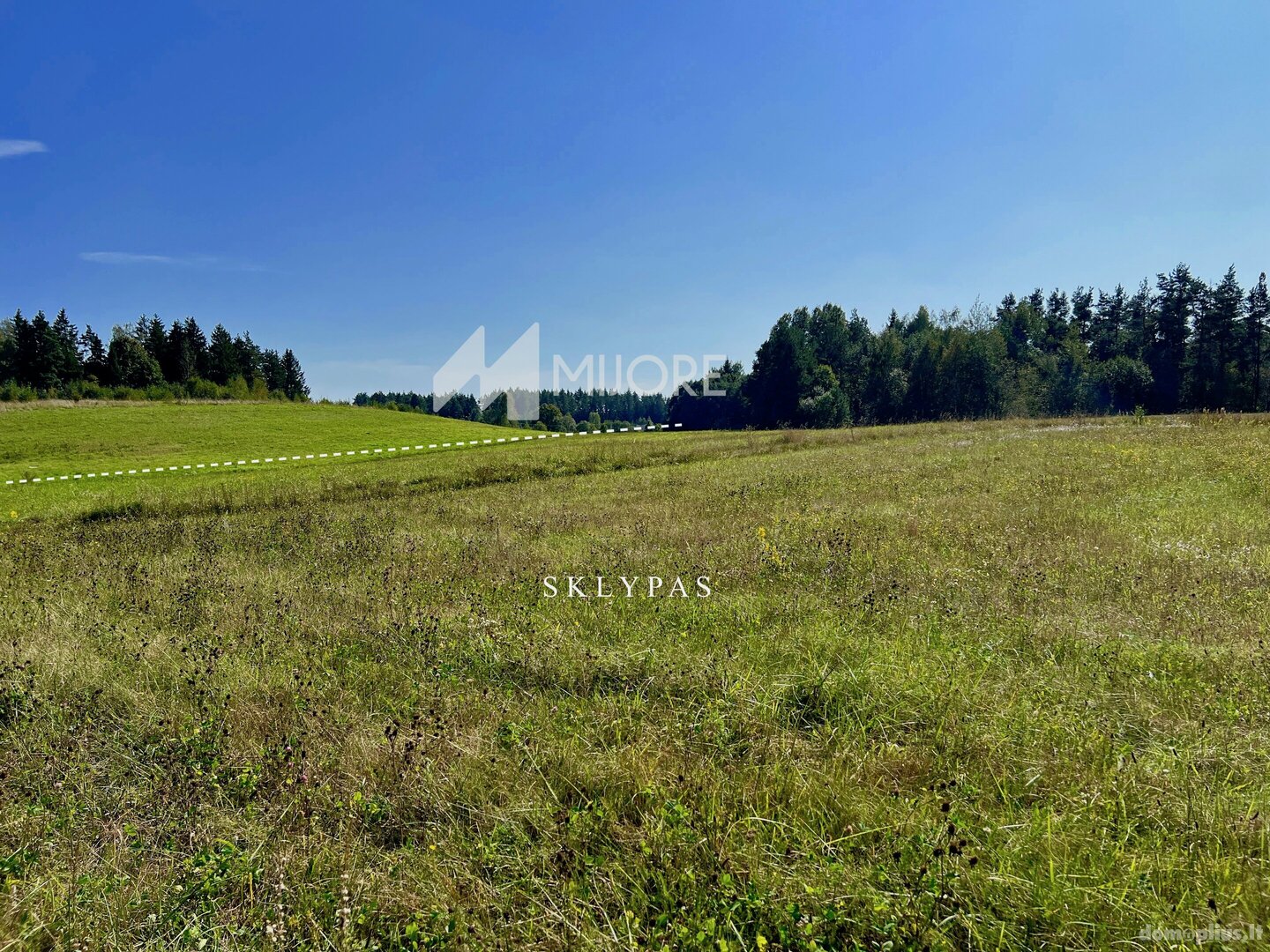 Parduodamas sklypas Vilniaus rajono sav., Dvarykščiuose