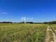 Land for sale Vilniaus rajono sav., Dvarykščiuose (4 picture)