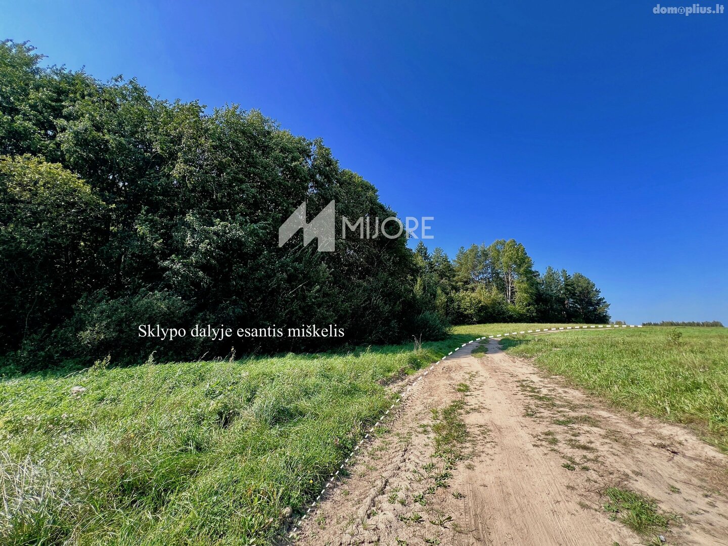 Parduodamas sklypas Vilniaus rajono sav., Dvarykščiuose