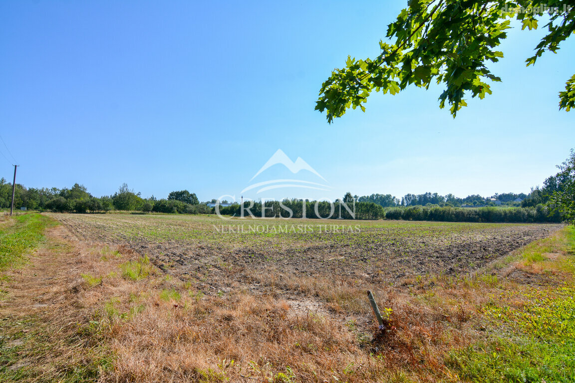 Parduodamas sklypas Šiaulių rajono sav., Aukštelkėje, Rasos g.