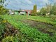 Parduodamas sklypas Klaipėdos rajono sav., Šnaukštuose (6 nuotrauka)