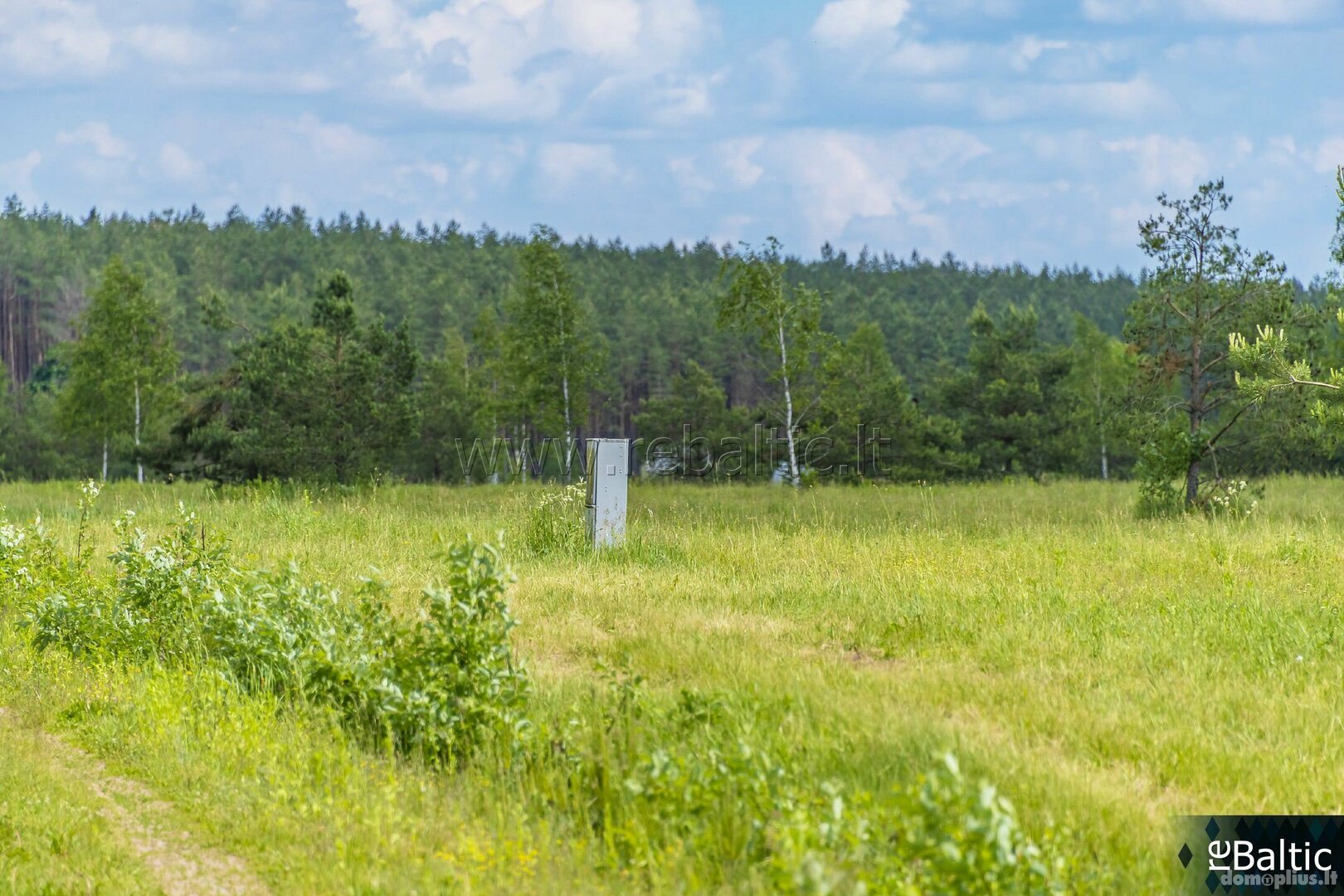 Участок Trakų rajono sav., Liepynuose