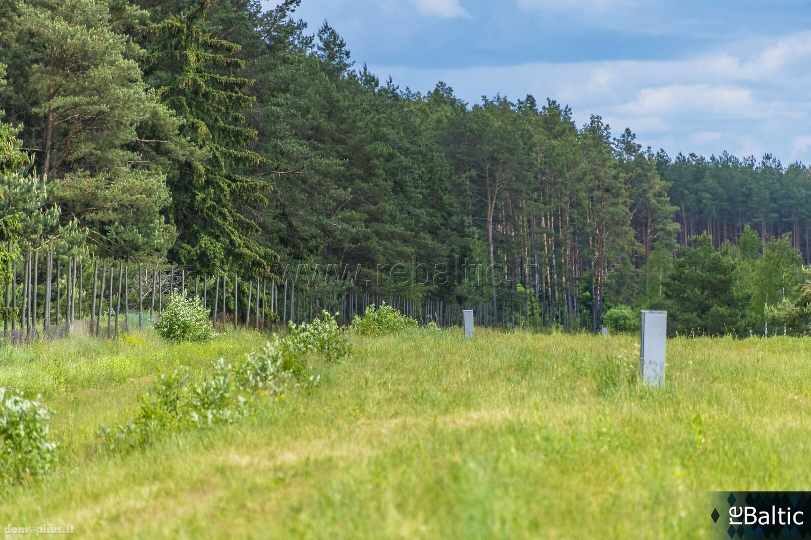 Land for sale Trakų rajono sav., Liepynuose
