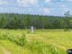 Parduodamas sklypas Trakų rajono sav., Liepynuose (10 nuotrauka)