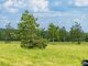 Parduodamas sklypas Trakų rajono sav., Liepynuose (12 nuotrauka)