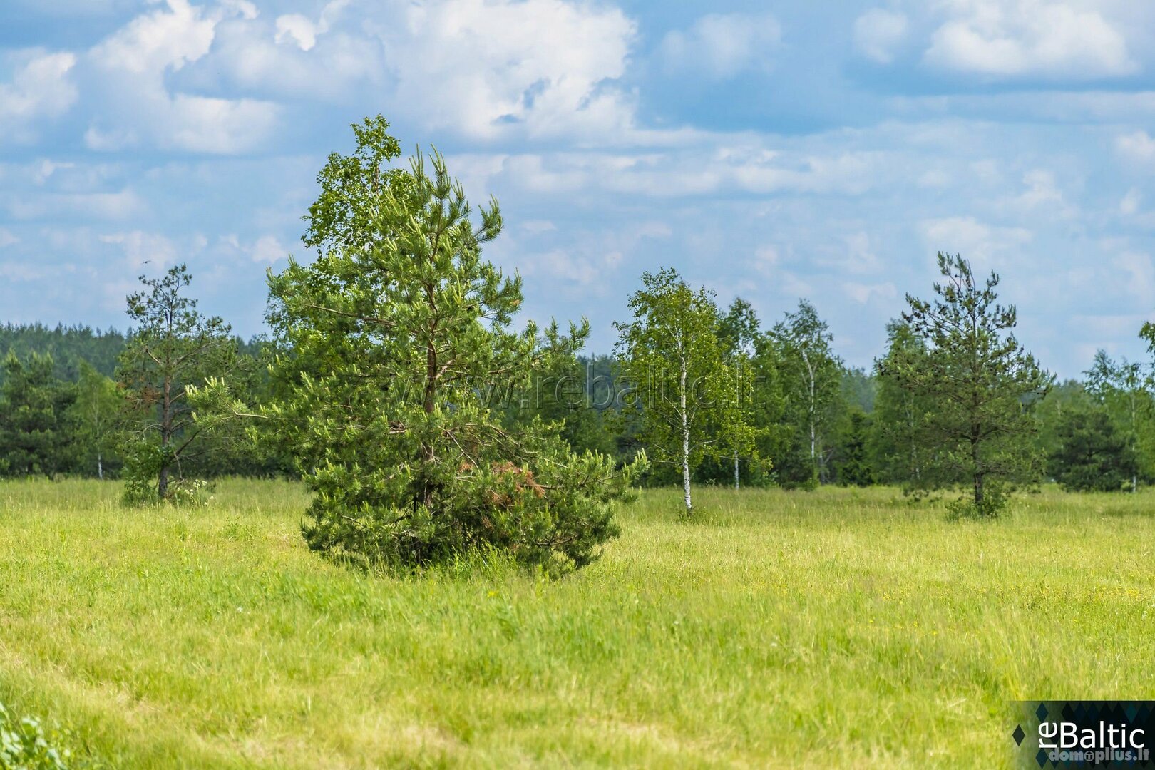 Land for sale Trakų rajono sav., Liepynuose