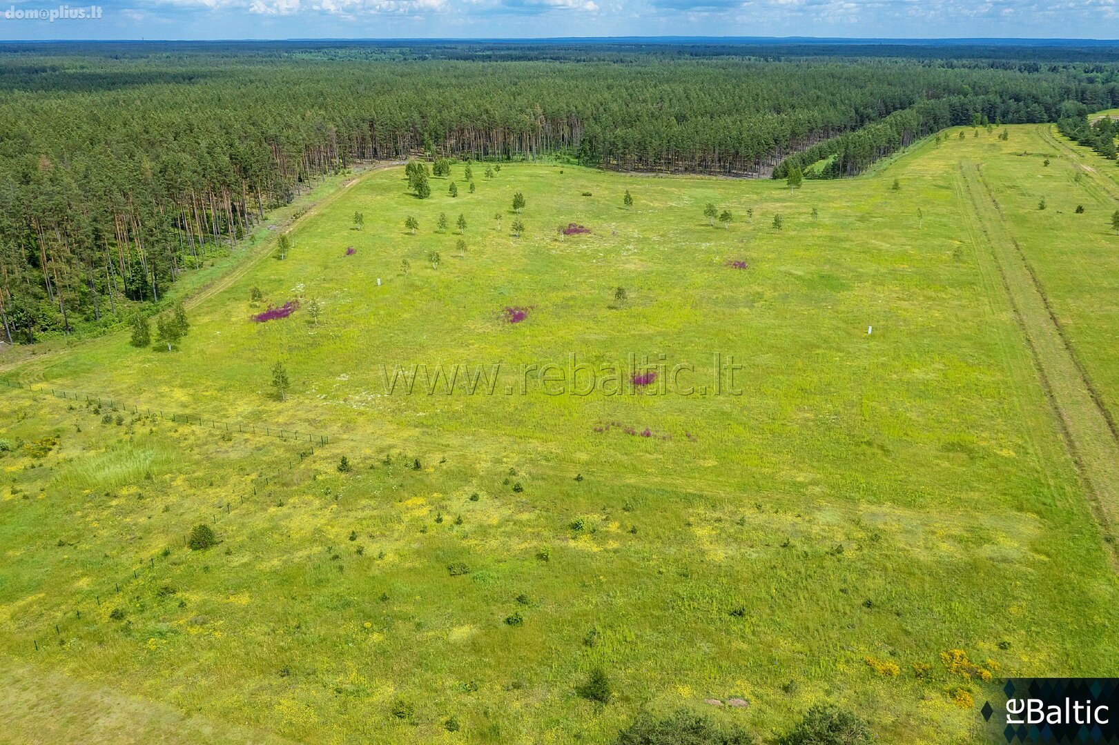 Land for sale Trakų rajono sav., Liepynuose