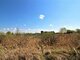 Land for sale Panevėžys, Panevėžyje, Savitiškio g. (2 picture)