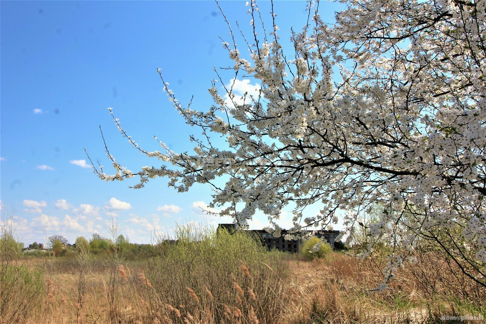 Land for sale Panevėžys, Panevėžyje, Savitiškio g.