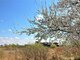 Land for sale Panevėžys, Panevėžyje, Savitiškio g. (3 picture)