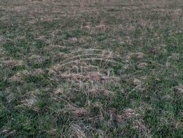 Land for sale Kretingos rajono sav., Jokūbave
