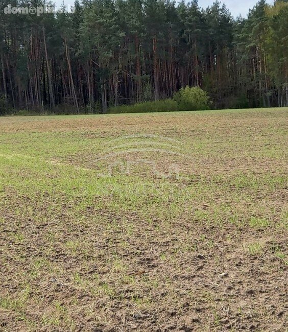 Parduodamas sklypas Kretingos rajono sav., Kadagyne