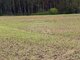 Land for sale Kretingos rajono sav., Kadagyne (1 picture)