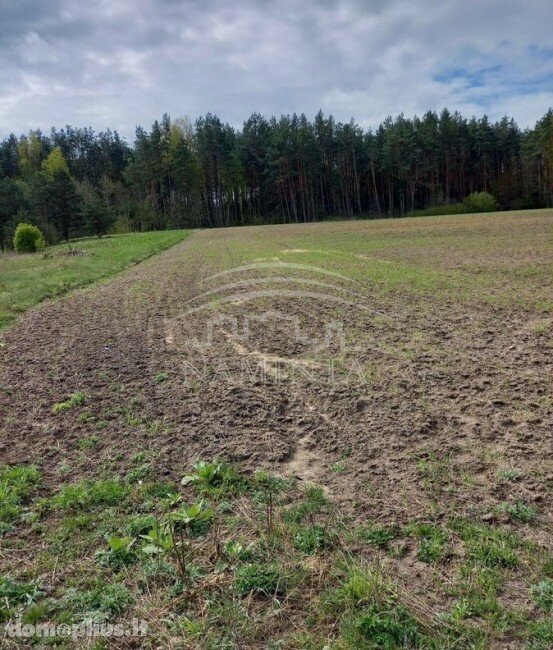 Parduodamas sklypas Kretingos rajono sav., Kadagyne