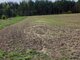 Land for sale Kretingos rajono sav., Kadagyne (2 picture)