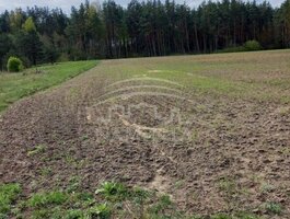 Parduodamas sklypas Kretingos rajono sav., Kadagyne
