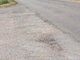 Land for sale Kretingos rajono sav., Kadagyne (6 picture)